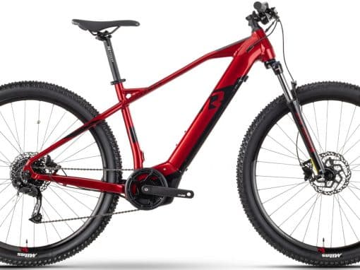 E-MTB