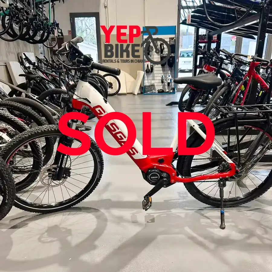 GASGAS G TREKKING WAVE 2.0 2022 1 GASGAS G TREKKING WAVE 2.0 2022