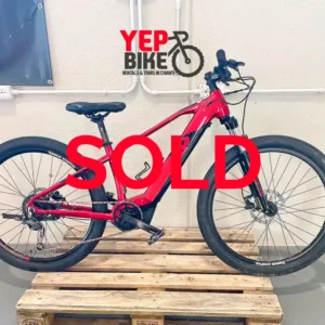 Vendita e bike 16 RAYMON HARDRAY E 4.0 2022