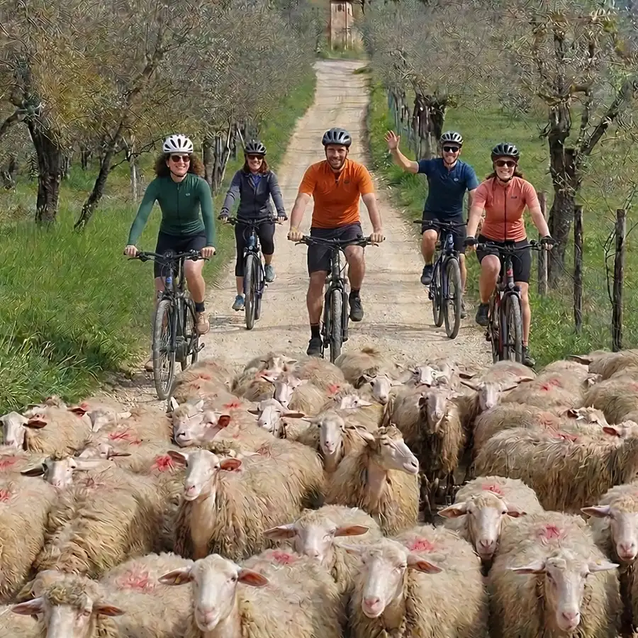 The Chianti Hills Private Collection