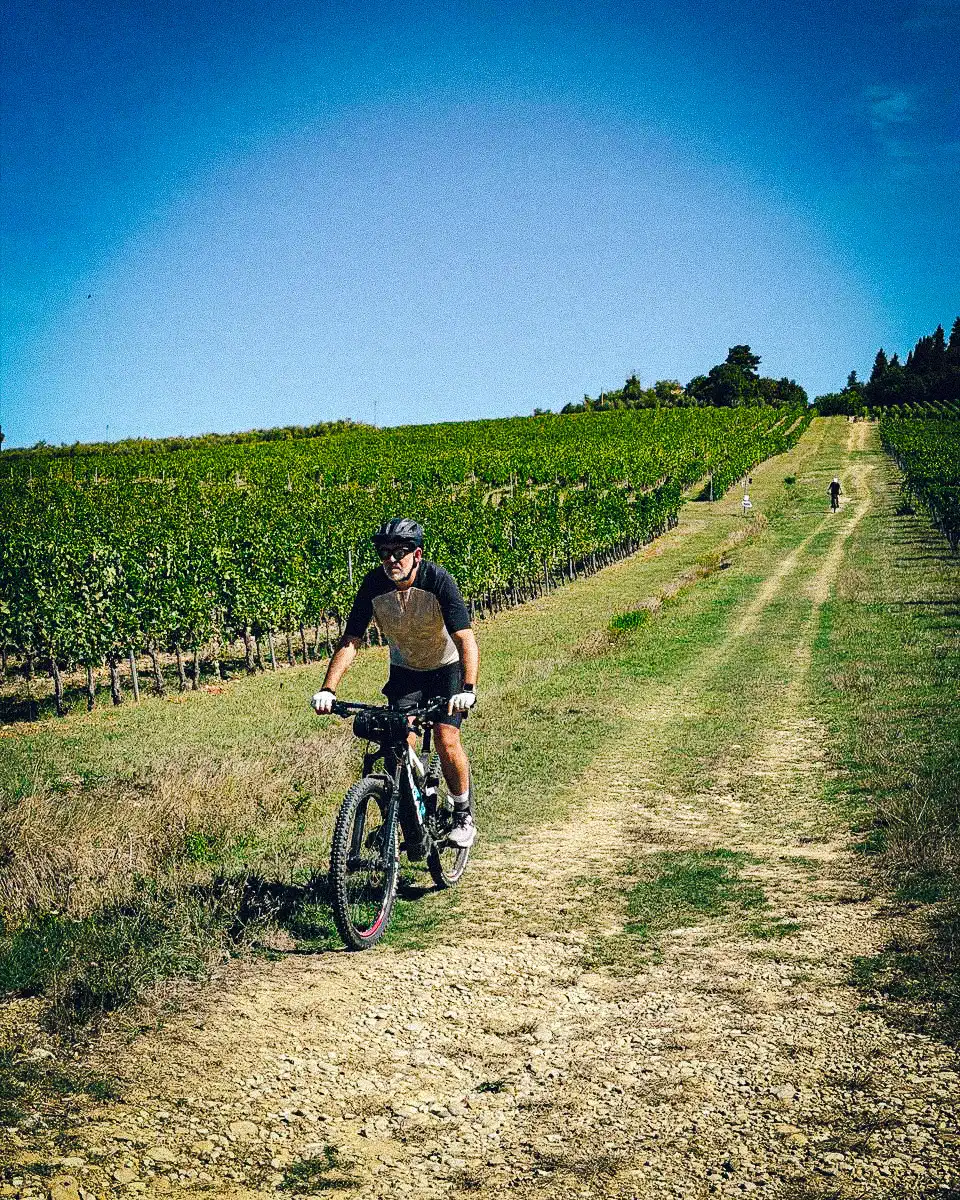 Multi Days Tours In Tuscany 100