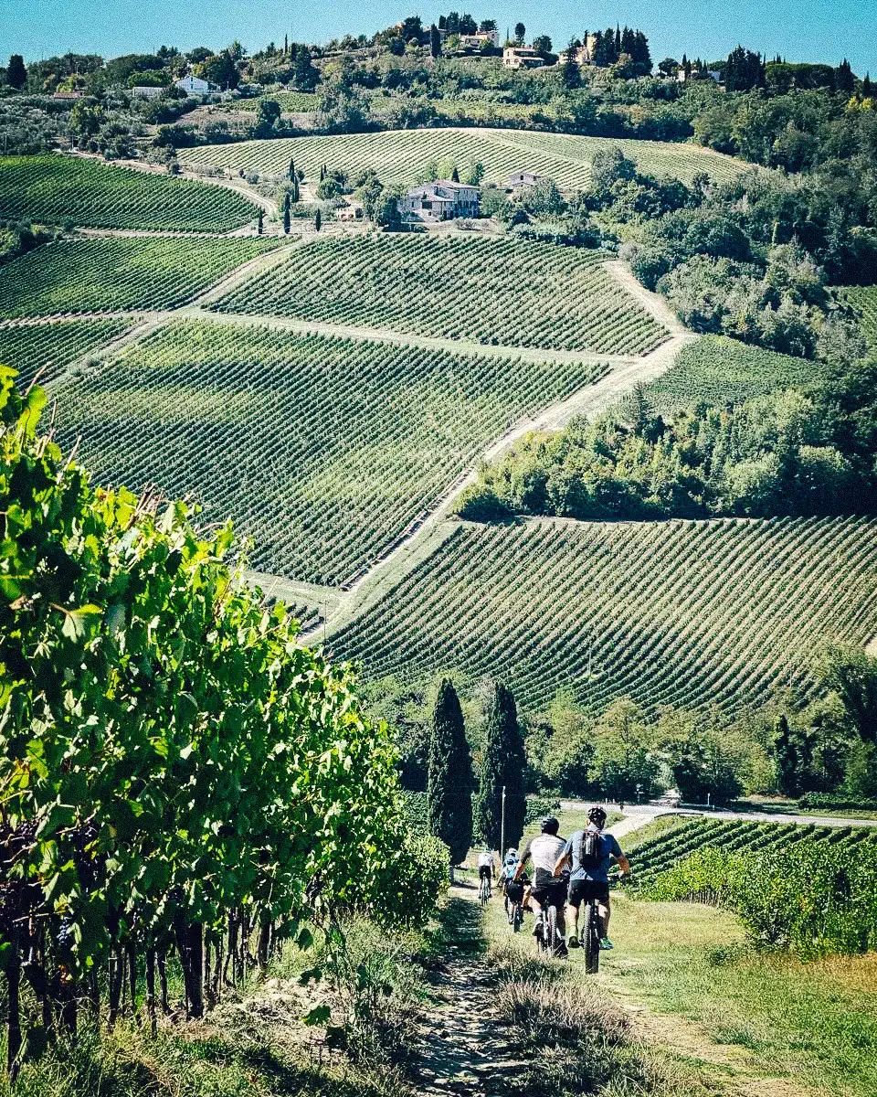 Multi Days Tours In Tuscany 106