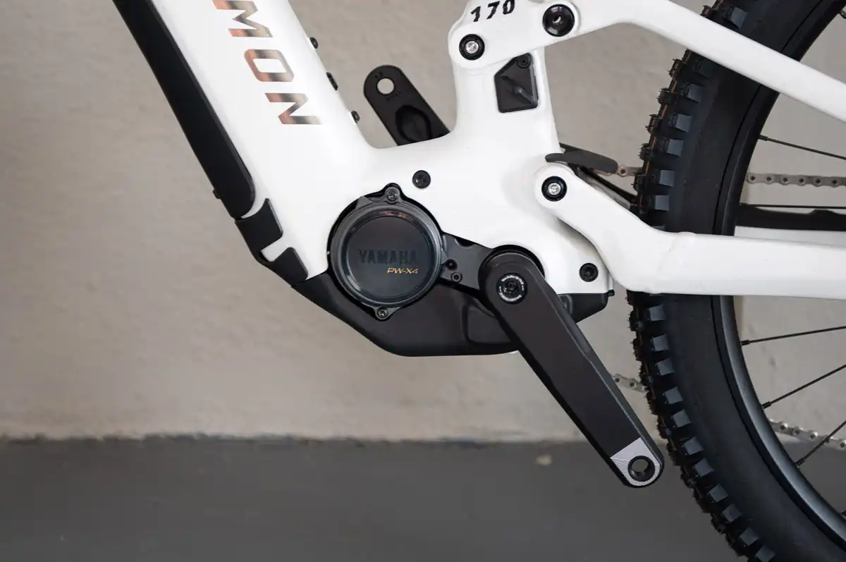 RAYMON RAVOR LT PRO RAYMON RAVOR LT PRO - immagine 3