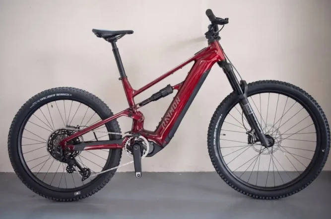RAYMON RAVOR PRO