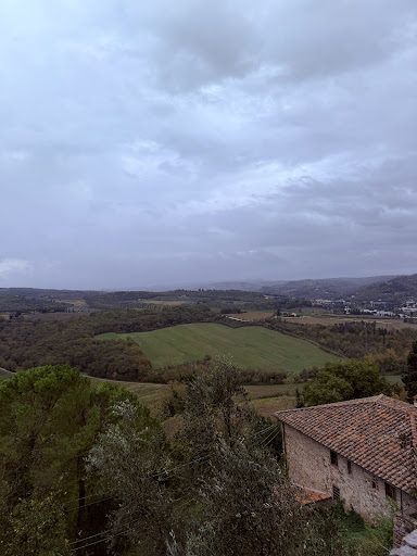 Tour e noleggio bici Toscana 15 media thumbnail 1