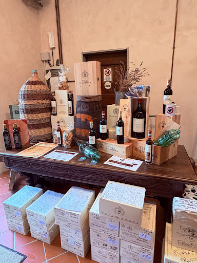 Tour e noleggio bici Toscana 16 media thumbnail 2