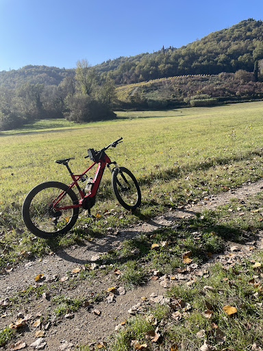 Tour e noleggio bici Toscana 8 media thumbnail 0