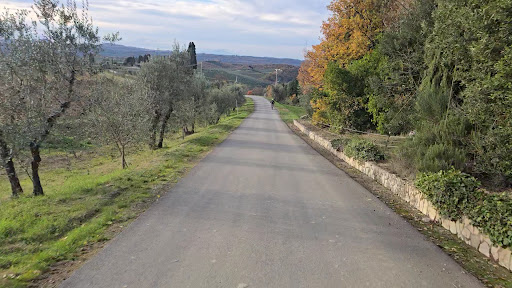 Tour e noleggio bici Toscana 7 media thumbnail 0