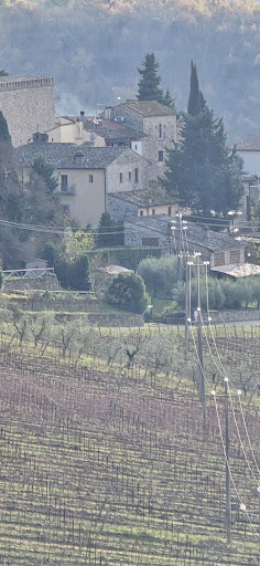 Tour e noleggio bici Toscana 9 media thumbnail 2