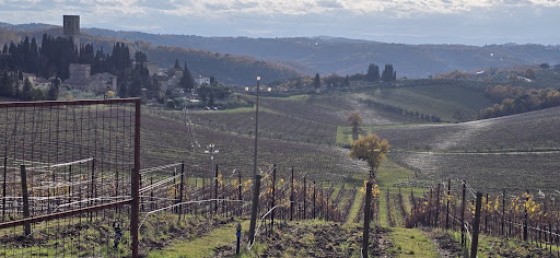 Tour e noleggio bici Toscana 10 media thumbnail 3