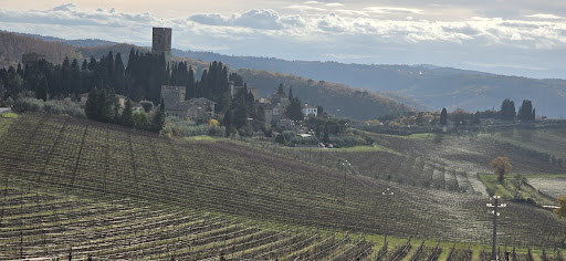 Tour e noleggio bici Toscana 11 media thumbnail 4