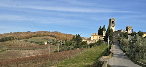 Tour e noleggio bici Toscana 13 media thumbnail 6