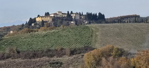 Tour e noleggio bici Toscana 16 media thumbnail 9