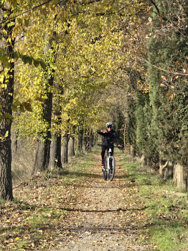 Tour e noleggio bici Toscana 17 media thumbnail 10