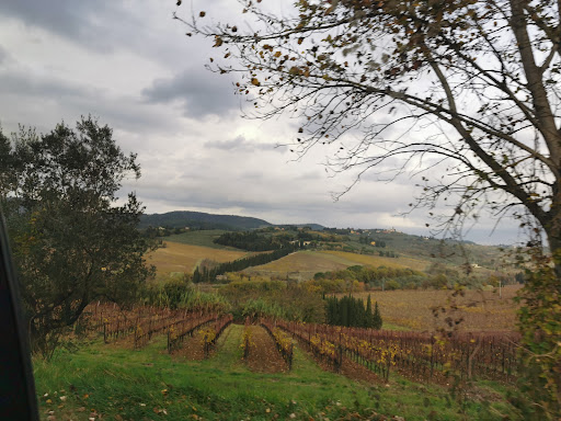 Tour e noleggio bici Toscana 21 media thumbnail 2