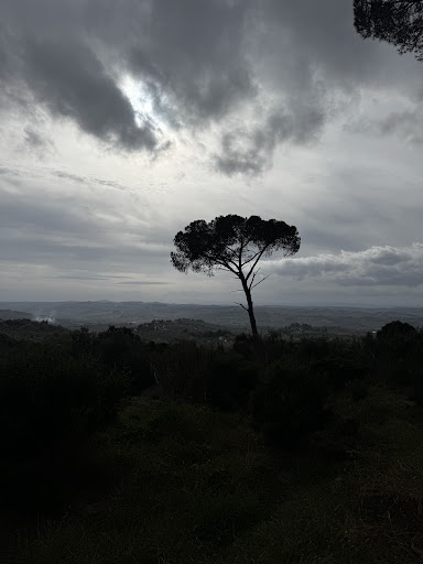 Tour e noleggio bici Toscana 29 media thumbnail 2