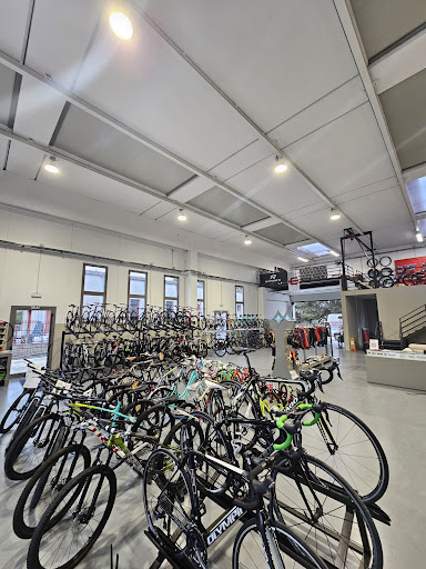 Tour e noleggio bici Toscana media thumbnail 0