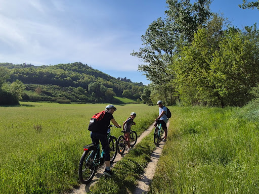 Tour e noleggio bici Toscana media thumbnail 0