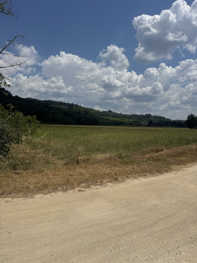 Tour e noleggio bici Toscana media thumbnail 0